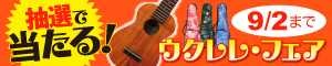 ukulelefair_s.jpg