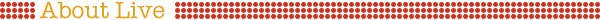 公演概要