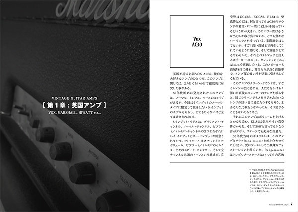 プロ定番 Hartke HA5500 メンテナンス済 完動品（Yahoo