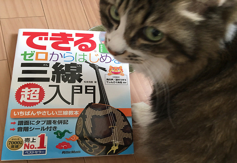 全長99.5cm 猫皮 三味線 響きわたる