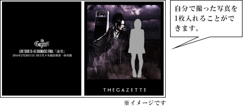 the　GazettE　LIVE　TOUR　15-16　DOGMATIC　FIN