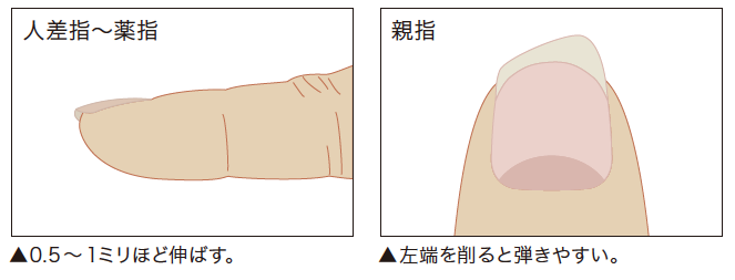 爪のお手入れについて